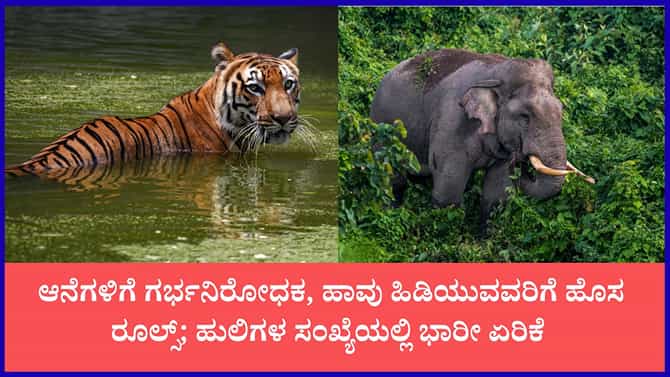 ಕರ್ನಾಟಕದಲ್ಲಿ ಹುಲಿಗಳ ಸಂಖ್ಯೆ ಏರಿಕೆ