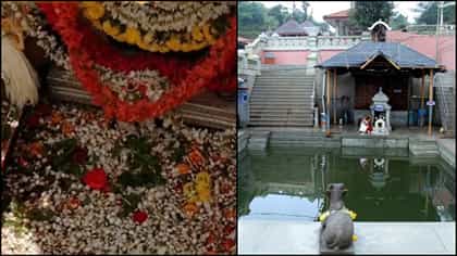 ಕಾವೇರಿ ತೀರ್ಥೋದ್ಭವ ಎಂದರೇನು? ಈ ಪವಿತ್ರ ಆಚರಣೆಯ ಮಹತ್ವವೇನು?