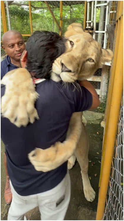 ಸಿಂಹದ ಜೊತೆ ಕಿರಣ್ ರಾಜ್ ಸಲುಗೆ
