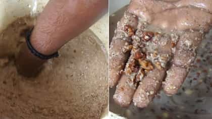 ಕೋಲಾರ: ಪಶು ಆಹಾರದಲ್ಲಿ ಎಂ.ಸ್ಯಾಂಡ್​ ಮಿಶ್ರಣ?