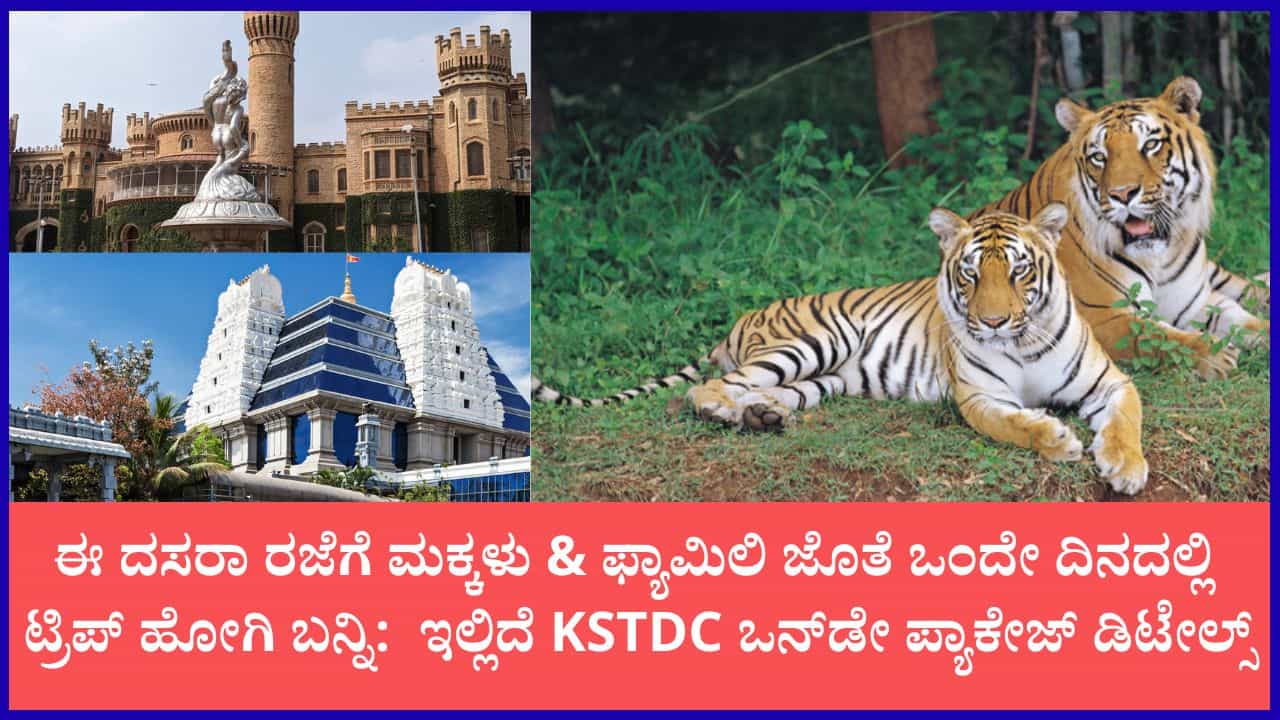ಈ ದಸರಾ ರಜೆಗೆ ಮಕ್ಕಳು-ಫ್ಯಾಮಿಲಿ ಜೊತೆ ಒಂದೇ ದಿನದಲ್ಲಿ ಸುತ್ತಾಡಲು KSTDC ಸೂಪರ್ ಒನ್ಡೇ ಟೂರ್ ಪ್ಯಾಕೇಜ್ ಈ ದಸರಾ ರಜೆಗೆ ಮಕ್ಕಳು-ಫ್ಯಾಮಿಲಿ ಜೊತೆ ಒಂದೇ ದಿನದಲ್ಲಿ ಸುತ್ತಾಡಲು KSTDC ಸೂಪರ್ ಒನ್ಡೇ ಟೂರ್ ಪ್ಯಾಕೇಜ್