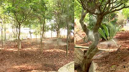 ಬೆಂಗಳೂರಿನ ಲಾಲ್‌ಬಾಗ್‌ನಲ್ಲಿ ನಿರ್ಮಾಣವಾಗುತ್ತಿದೆ ಮಂಜಿನ ಲೋಕ!