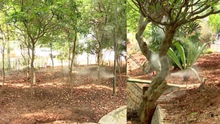 ಲಾಲ್‌ಬಾಗ್‌ನಲ್ಲಿ ನಿರ್ಮಾಣವಾಗುತ್ತಿದೆ ಮಂಜಿನ ಲೋಕ! ಸಿಂಗಾಪುರ ಮಾದರಿಯ ಉದ್ಯಾನವನ; ವಿಶೇಷತೆಗಳೇನು?