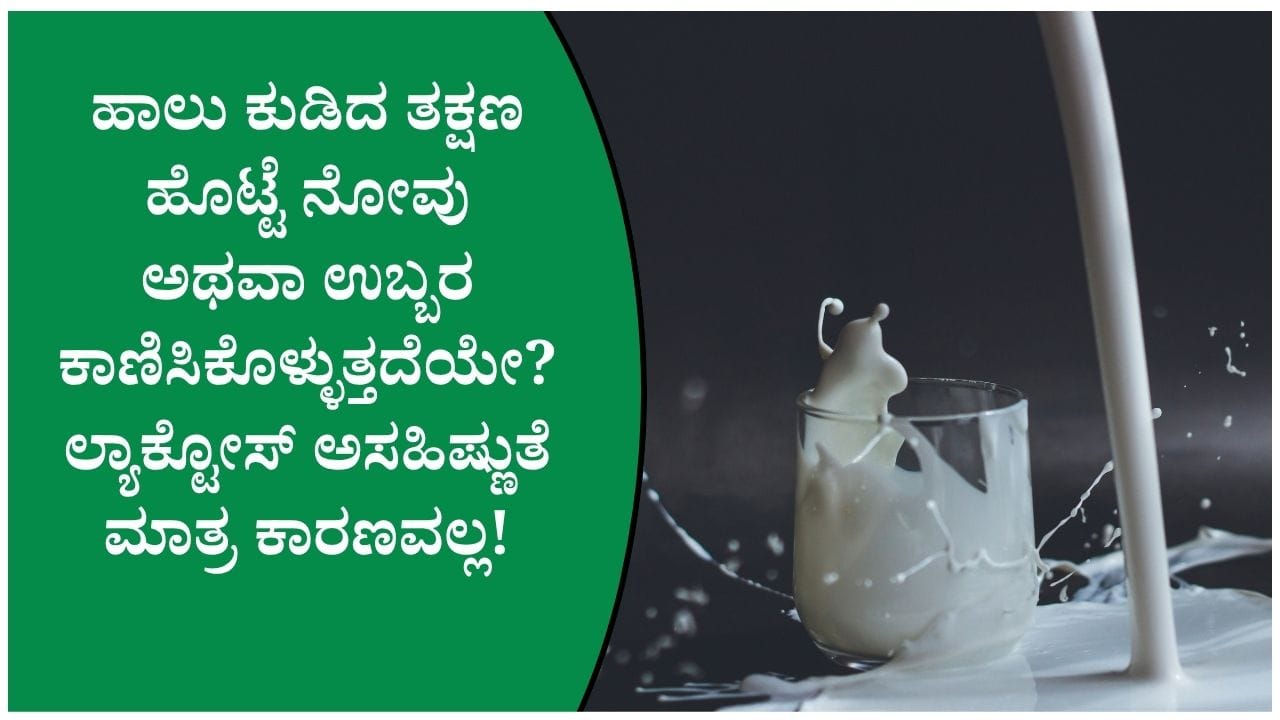 ಹಾಲು ಕುಡಿದರೆ ಗ್ಯಾಸ್, ಹೊಟ್ಟೆ ಉಬ್ಬರ ಕಂಡುಬರುತ್ತದೆಯೇ? ಇದನ್ನು ತಡೆಗಟ್ಟಲು ಈ ಸಲಹೆಯನ್ನು ಅನುಸರಿಸಿ