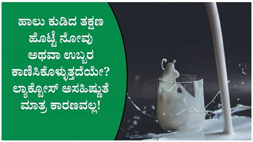ಹಾಲು ಕುಡಿದರೆ ಗ್ಯಾಸ್, ಹೊಟ್ಟೆ ಉಬ್ಬರ ಕಂಡುಬರುತ್ತದೆಯೇ? ಇದನ್ನು ತಡೆಗಟ್ಟಲು ಈ ಸಲಹೆಯನ್ನು ಅನುಸರಿಸಿ