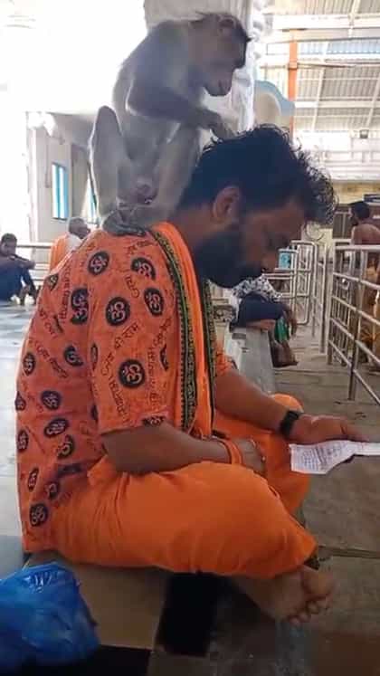 ಹನುಮಾನ್ ಚಾಲೀಸಾ ಪಠಣದ ವೇಳೆ ಭಕ್ತನ ಬೆನ್ನೇರಿ ಕುಳಿತ ಮಂಗ