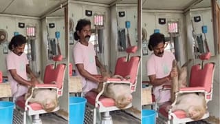 Viral Video: ಕ್ಷೌರದಂಗಡಿಯಲ್ಲಿ ಕೋತಿಗೆ ಮಸಾಜ್: ವಿಡಿಯೊ ನೋಡಿ ನೆಟ್ಟಿಗರು ಫಿದಾ