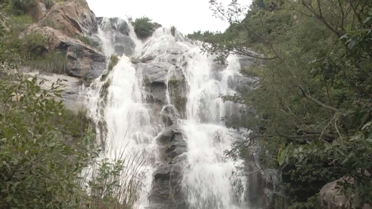 ಮಳೆ ಸುರಿದರೆ ಸಾಕು ಮುತ್ಯಾಲಮಡು ಜಲಪಾತಕ್ಕೆ ಜೀವಕಳೆ ಬರುತ್ತೆ. ನೂರಾರು ಅಡಿ ಎತ್ತರದ ಬೆಟ್ಟದ ಮೇಲಿಂದ ಧುಮ್ಮಿಕ್ಕುವ ಜಲಧಾರೆಯೂ ಮುತ್ತಿನ ಹನಿಗಳಂತೆ ಕಂಗೊಳಿಸುತ್ತಿದೆ. ಹಸಿರಿನ ನಡುವೆ ಮುತ್ಯಾಲಮಡು ಜಲಪಾತ ಮೈದುಂಬಿ ಹರಿಯುತ್ತಿದೆ.