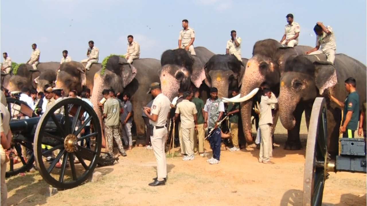 ಮೈಸೂರು ವಸ್ತುಪ್ರದರ್ಶನದ ಆವರಣದಲ್ಲಿ ದಸರಾ ಗಜಪಡೆ ಸಮ್ಮುಖದಲ್ಲಿ ಮೊದಲ ಹಂತದ ಕುಶಾಲತೋಪು ಸಿಡಿಸುವ ತಾಲೀಮು ನಡೆಯಿತು. ಏಳು ಫಿರಂಗಿಗಳಿಂದ ತಲಾ ಮೂರು ಬಾರಿಯಂತೆ ಒಟ್ಟು 21 ಕುಶಾಲತೋಪುಗಳನ್ನು ಸಿಡಿಸಲಾಯಿತು.