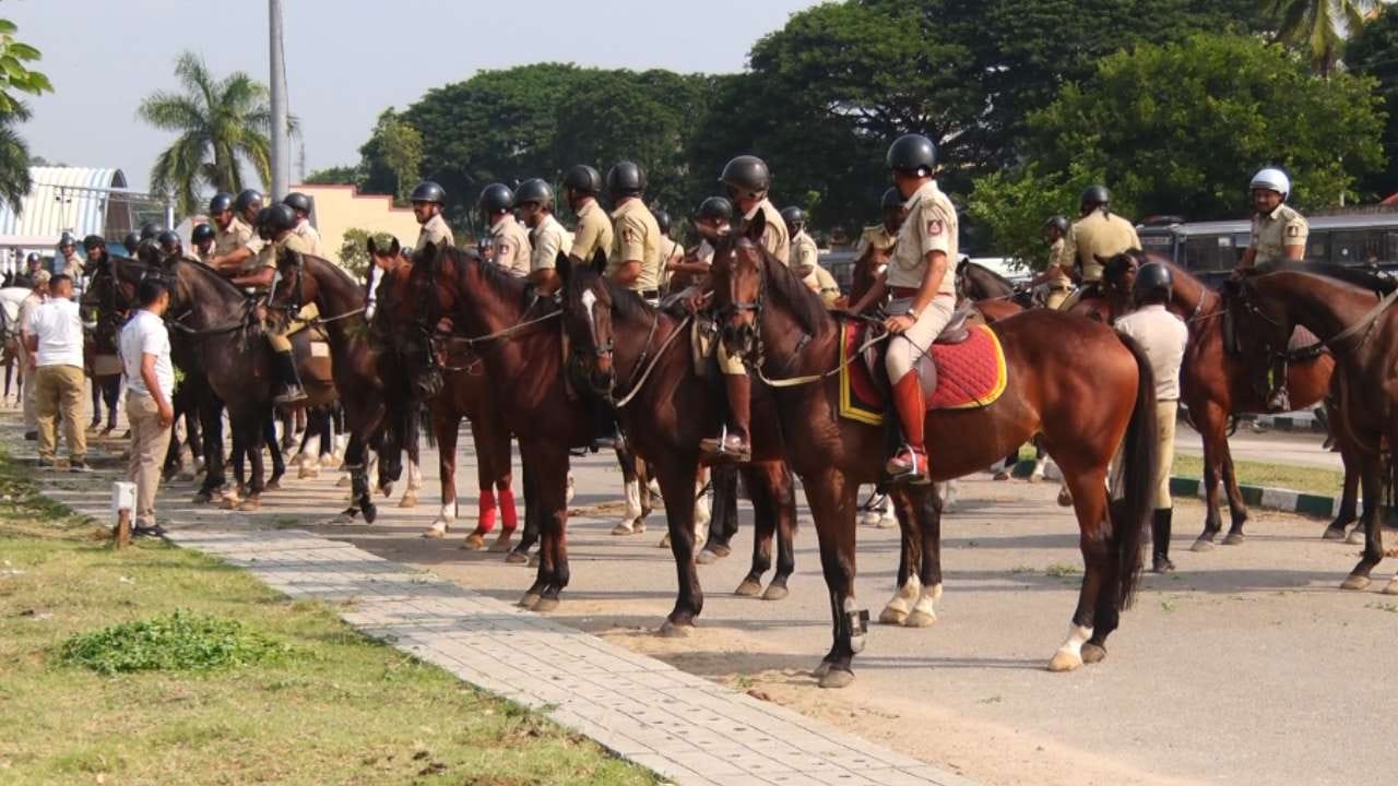 ಇಂದಿನ ತಾಲೀಮಿನಲ್ಲಿ ದಸರಾ ಗಜಪಡೆಯ ಜೊತೆಗೆ ಅಶ್ವಾರೋಹಿ ದಳದ ಕುದುರೆಗಳಿಗೂ ಶಬ್ದ ಅಭ್ಯಾಸ ಮಾಡಿಸಲಾಯಿತು. ಫಿರಂಗಿಗಳ ಭಾರೀ ಶಬ್ದದ ನಡುವೆಯೂ ಗಜಪಡೆ ಅಳುಕದೆ ಧೈರ್ಯ ಪ್ರದರ್ಶಿಸಿದವು.