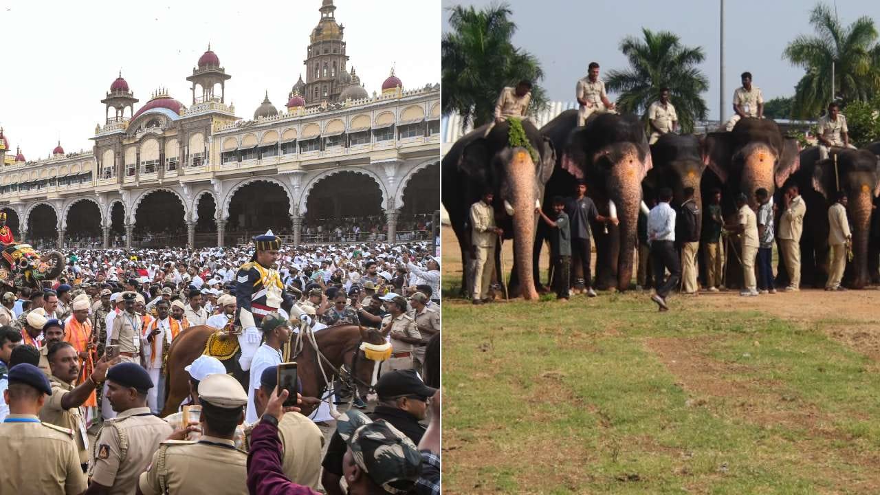 ಸಾಂಸ್ಕೃತಿಕ ನಗರಿ ಮೈಸೂರಿನಲ್ಲಿ ದಸರಾ ಕಲರವ ಜೋರಾಗಿದ್ದು, ದಸರೆಯ ಪ್ರಮುಖ ಆಕರ್ಷಣೆ ಜಂಬೂ ಸವಾರಿಗೆ ಸಕಲ ಸಿದ್ಧತೆಗಳನ್ನ ಮಾಡಿಕೊಳ್ಳಲಾಗುತ್ತದೆ. ಈ ಬಾರಿ ಕ್ಯಾಪ್ಟನ್ ಯಾರಾಗುತ್ತಾರೆ ಎನ್ನುವ ಕುತೂಹಲದ ನಡುವೆ ಮೊದಲ ಹಂತದ ಸಿಡಿಮದ್ದು ತಾಲೀಮು ಯಶಸ್ವಿ ಆಗಿದ್ದು, ಅರಣ್ಯ ಇಲಾಖೆಯವರು ನಿರಾಳವಾಗುವಂತೆ ಮಾಡಿದೆ.