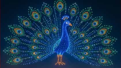 ಮೈಸೂರು ದಸರಾ; 3473 ಡ್ರೋನ್‌ಗಳ ನವಿಲು ಪ್ರದರ್ಶನಕ್ಕೆ ಗಿನ್ನೆಸ್ ದಾಖಲೆ ಗರಿ