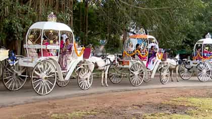 ಪಾರಂಪರಿಕ ಟಾಂಗಾ ಸವಾರಿ:ದಸರಾ ಮಹೋತ್ಸವದಲ್ಲಿ ಇತಿಹಾಸದ ಅನಾವರಣ