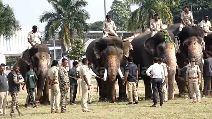 ಮೈಸೂರು ದಸರಾ 2026: ಗಜಪಡೆ, ಅಶ್ವಪಡೆಗೆ ಸಿಡಿಮದ್ದು ತಾಲೀಮು ಮೈಸೂರು ದಸರಾ 2026: ಗಜಪಡೆ, ಅಶ್ವಪಡೆಗೆ ಸಿಡಿಮದ್ದು ತಾಲೀಮು