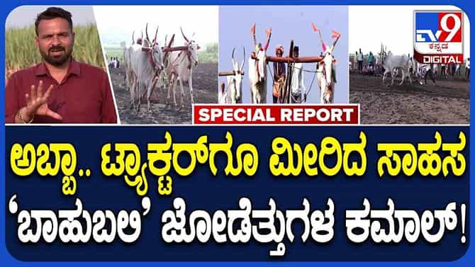 ಬಾಗಲಕೋಟೆ ಜೋಡೆತ್ತುಗಳ ಕಮಾಲ್‌.. 10 ಗಂಟೆಗಳಲ್ಲಿ 20 ಎಕರೆ ಬಿತ್ತನೆ!