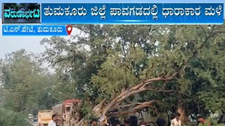 ಪಾವಗಡದಲ್ಲಿ ವರುಣಾರ್ಭಟ: ಟಿ.ಎನ್. ಪೇಟೆ ಗ್ರಾಮದಲ್ಲಿ ಬೃಹತ್ ಮರ ಧರೆಗುರುಳಿ ಸಂಚಾರಕ್ಕೆ ಅಡಚಣೆ