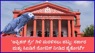 ಸಿಐಡಿ ವಶದಲ್ಲಿರುವ ಆಫ್ರಿಕನ್ ಗ್ರೇ ಗಿಳಿ ಮರಳಿಸುವಂತೆ ಅರ್ಜಿ: ರಾಜ್ಯ ಸರ್ಕಾರಕ್ಕೆ ಹೈಕೋರ್ಟ್ ನೋಟಿಸ್