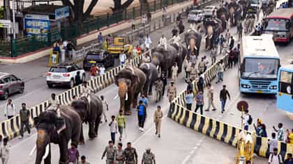 ಮೈಸೂರು ದಸರಾ: ಜಂಬೂಸವಾರಿಯಲ್ಲಿ 12 ಆನೆಗಳು ಫೈನಲ್​​! ಯಾರಿಗೆ ಯಾವ ಸ್ಥಾನ?