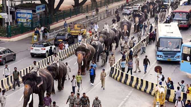 ಮೈಸೂರು ದಸರಾ: ಜಂಬೂಸವಾರಿಯಲ್ಲಿ 12 ಆನೆಗಳು ಫೈನಲ್​​! ಯಾರಿಗೆ ಯಾವ ಸ್ಥಾನ?