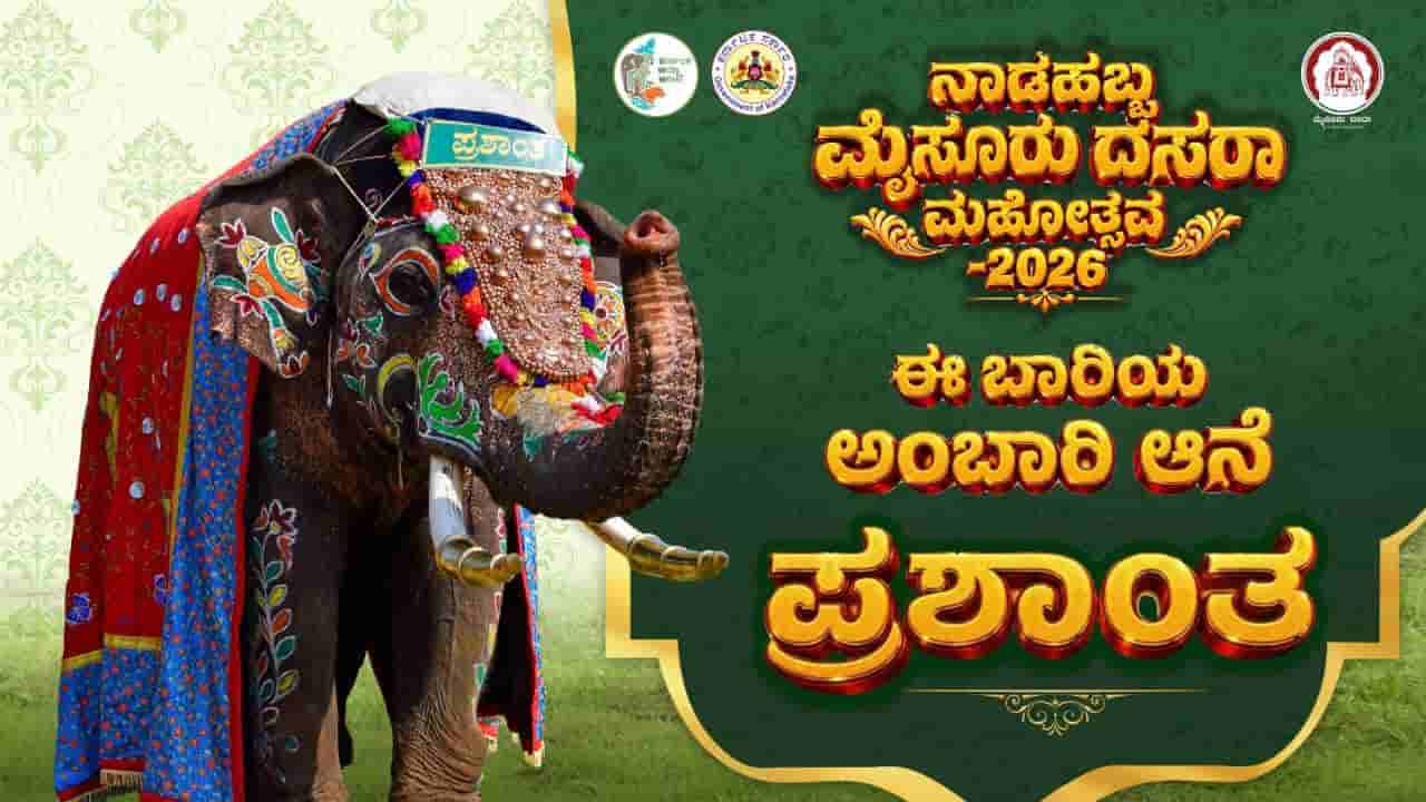 ಪ್ರಶಾಂತ ಆನೆಗೆ ಅಂಬಾರಿ ಹೊರುವ ಲಕ್: ಜಂಬೂ ಸವಾರಿ ಕ್ಯಾಪ್ಟನ್ ಕುತೂಹಲಕ್ಕೆ ತೆರೆ