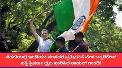 ಪ್ರತಿಭಟನೆ ವೇಳೆ ಬ್ಯಾರಿಕೇಡ್ ಹತ್ತಿ ಧ್ವಜ ಬೀಸಿದ ರಾಹುಲ್ ಗಾಂಧಿ!