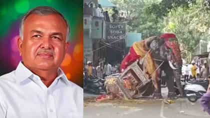 ಎಚ್ಚೆತ್ತ ಅರಣ್ಯ ಇಲಾಖೆ: ಜಂಬೂಸವಾರಿಗೆ ಹೊಸ ರೂಲ್ಸ್