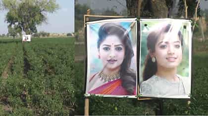 ರೈತನ ಮೆಣಸಿನಕಾಯಿ ಹೊಲಕ್ಕೆ ರಚಿತಾ ರಾಮ್‌, ರಶ್ಮಿಕಾ ಮಂದಣ್ಣ ಕಣ್ಗಾವಲು!