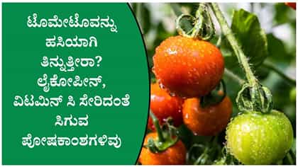 ಟೊಮೇಟೊವನ್ನು ಹಸಿಯಾಗಿ ತಿನ್ನುತ್ತೀರಾ? ದೇಹಕ್ಕೆ ಸಿಗುವ ಆರೋಗ್ಯ ಪ್ರಯೋಜನಗಳು