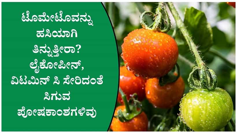 ಹಸಿ ಟೊಮೇಟೊ ತಿನ್ನುವ ಅಭ್ಯಾಸವಿದೆಯೇ? ಹೃದಯದಿಂದ ಜೀರ್ಣಕ್ರಿಯೆವರೆಗೆ ಸಿಗುವ ಪ್ರಯೋಜನಗಳಿವು