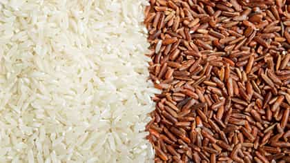 ನಾಲ್ಕು ತಿಂಗಳಲ್ಲಿ ನಾಲ್ಕನೇ ಬಾರಿಗೆ ಅಕ್ಕಿ ದರ ಹೆಚ್ಚಳ