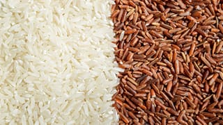 ರಾಜ್ಯದ ಜನತೆಗೆ ಮತ್ತೊಂದು ಬೆಲೆ ಏರಿಕೆ ಬರೆ: ನಾಲ್ಕು ತಿಂಗಳಲ್ಲಿ ನಾಲ್ಕನೇ ಬಾರಿಗೆ ಅಕ್ಕಿ ದರ ಹೆಚ್ಚಳ