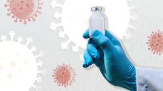 Shamonda Virus: ಶಮೊಂಡಾ ವೈರಸ್ ಹೇಗೆ ಹರಡುತ್ತದೆ? ರೋಗಲಕ್ಷಣ, ಮುನ್ನೆಚ್ಚರಿಕೆಗಳ ಸಂಪೂರ್ಣ ಮಾಹಿತಿ