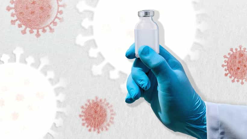 Shamonda Virus: ಶಮೊಂಡಾ ವೈರಸ್ ಹೇಗೆ ಹರಡುತ್ತದೆ? ರೋಗಲಕ್ಷಣ, ಮುನ್ನೆಚ್ಚರಿಕೆಗಳ ಸಂಪೂರ್ಣ ಮಾಹಿತಿ