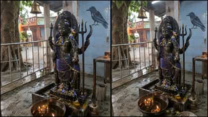 ಶನಿವಾರ ಈ 5 ವಸ್ತು ದಾನ ಮಾಡಿದರೆ ಶನಿ ದೇವರ ಕೃಪೆ ನಿಮ್ಮ ಮೇಲಿರುತ್ತೆ!