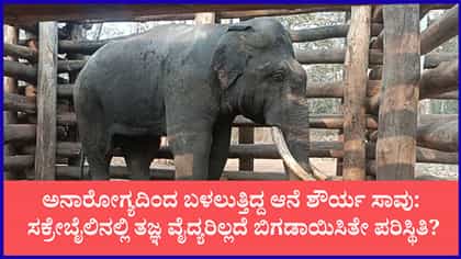 ಸಕ್ರೇಬೈಲು ಆನೆ ಬಿಡಾರದಲ್ಲಿ ಶೌರ್ಯ ಆನೆ ಸಾವು