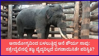 ಸಕ್ರೇಬೈಲು ಆನೆ ಬಿಡಾರದಲ್ಲಿ ಶೌರ್ಯ ಆನೆ ಸಾವು