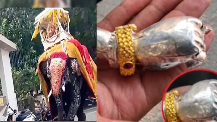 ಶಿವಮೊಗ್ಗ ದಸರಾ: ಆನೆ ಸೋಮಣ್ಣನ ರಂಪಾಟಕ್ಕೆ ಮುರಿದು ಬಿದ್ದ ದೇವಿಯ ಕೈ ಶಿವಮೊಗ್ಗ ದಸರಾ: ಆನೆ ಸೋಮಣ್ಣನ ರಂಪಾಟಕ್ಕೆ ಮುರಿದು ಬಿದ್ದ ದೇವಿಯ ಕೈ