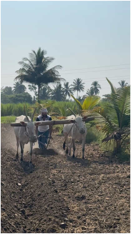 ಕೃಷಿ ಕೆಲಸ ಮಾಡಿದ ‘ಪ್ರೇಮದ ಊರಲಿ’ ನಟ ಶ್ರೀರಾಮ್