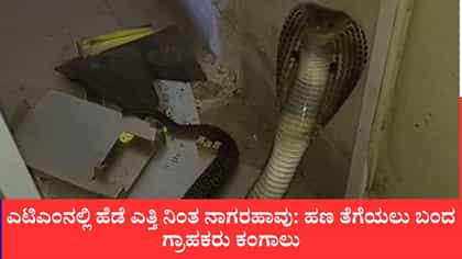 ಎಟಿಎಂನಲ್ಲಿ ಹೆಡೆ ಎತ್ತಿ ನಿಂತ ನಾಗರಹಾವು