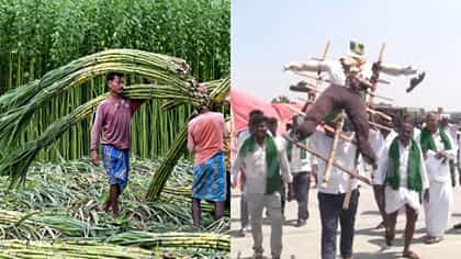 ಸಕ್ಕರೆ ವಲಯದ ಹೊಸ ಮಾರ್ಗಸೂಚಿ ರೂಪಿಸಲು ಚಿಂತನೆ