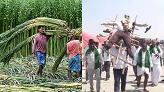 ಕಬ್ಬು ಬೆಳೆಗಾರರಿಗೆ ವಿಜಯದಶಮಿ ದಿನ ಗುಡ್​ ನ್ಯೂಸ್​: ಸಕ್ಕರೆ ವಲಯದ ಹೊಸ ಮಾರ್ಗಸೂಚಿ ರೂಪಿಸಲು ಚಿಂತನೆ