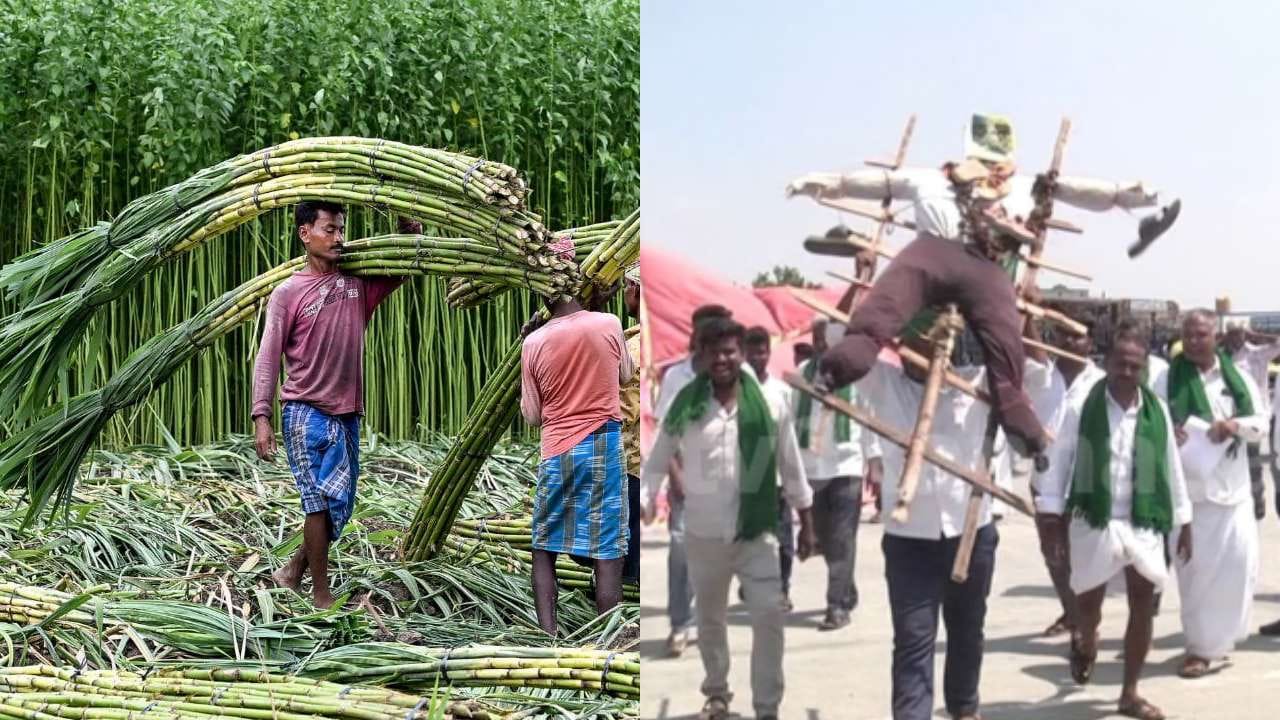 ಕಬ್ಬು ಬೆಳೆಗಾರರಿಗೆ ವಿಜಯದಶಮಿ ದಿನ ಗುಡ್ ನ್ಯೂಸ್: ಸಕ್ಕರೆ ವಲಯದ ಹೊಸ ಮಾರ್ಗಸೂಚಿ ರೂಪಿಸಲು ಚಿಂತನೆ ಕಬ್ಬು ಬೆಳೆಗಾರರಿಗೆ ವಿಜಯದಶಮಿ ದಿನ ಗುಡ್ ನ್ಯೂಸ್: ಸಕ್ಕರೆ ವಲಯದ ಹೊಸ ಮಾರ್ಗಸೂಚಿ ರೂಪಿಸಲು ಚಿಂತನೆ