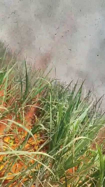 ಅಫಜಲಪುರ ಗೊಬ್ಬರವಾಡಿಯಲ್ಲಿ 8 ಎಕರೆ ಕಬ್ಬು ಬೆಂಕಿಗಾಹುತಿ
