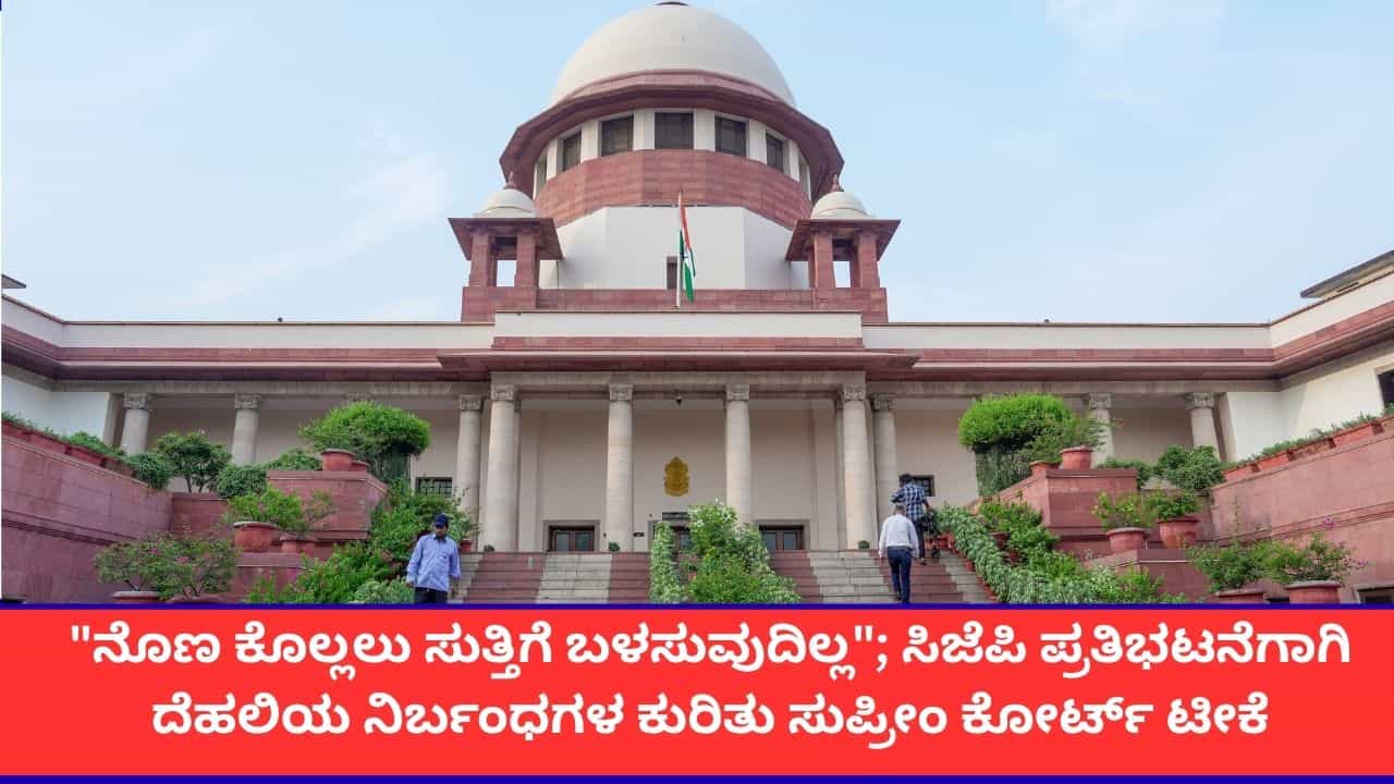 'ನೊಣವನ್ನು ಕೊಲ್ಲಲು ಸುತ್ತಿಗೆ ಏಕೆ?'; ಸಿಜೆಪಿ ಪ್ರತಿಭಟನೆಗಾಗಿ ದೆಹಲಿಯಲ್ಲಿನ ನಿರ್ಬಂಧಗಳಿಗೆ ಸುಪ್ರೀಂ ಕೋರ್ಟ್ ತರಾಟೆ