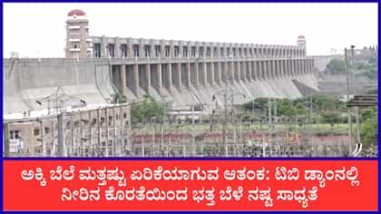4 ಜಿಲ್ಲೆಗಳ ಭತ್ತ ಬೆಳೆ ಕೈತಪ್ಪುವ ಆತಂಕ: ಅಕ್ಕಿ ಬೆಲೆ ಮತ್ತೆ ಏರಿಕೆ ಸಾಧ್ಯತ