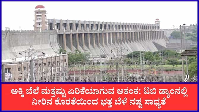 4 ಜಿಲ್ಲೆ ಭತ್ತ ಬೆಳೆ ಕೈತಪ್ಪುವ ಆತಂಕ: ಅಕ್ಕಿ ಬೆಲೆ ಮತ್ತೆ ಏರಿಕೆ ಸಾಧ್ಯತೆ