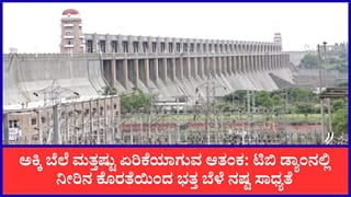 ತುಂಗಭದ್ರಾ ಜಲಾಶಯದಲ್ಲಿ ನೀರಿನ ಸಂಗ್ರಹ ಕುಸಿತ, ಒಳಹರಿವು ಸ್ಥಗಿತ: ಭತ್ತ ಬೆಳೆ ಕೈ ತಪ್ಪುವ ಆತಂಕದಲ್ಲಿ 4 ಜಿಲ್ಲೆಗಳ ರೈತರು