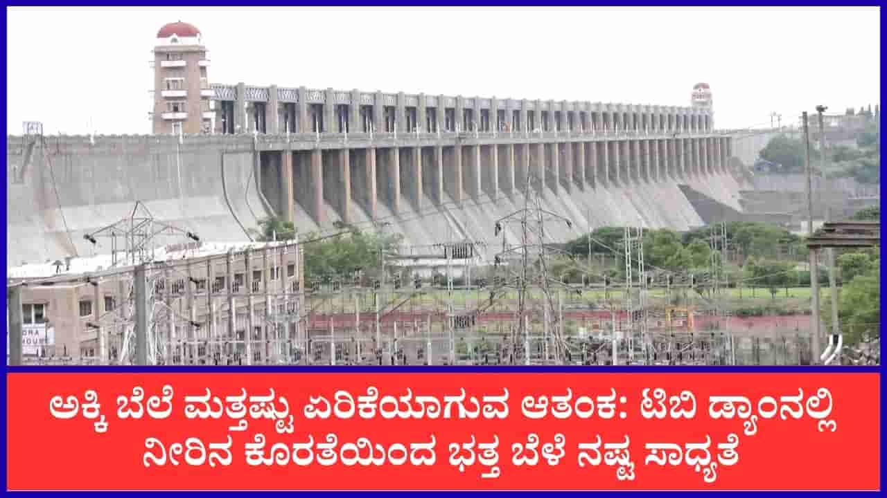 ತುಂಗಭದ್ರಾ ಜಲಾಶಯದಲ್ಲಿ ನೀರಿನ ಸಂಗ್ರಹ ಕುಸಿತ, ಒಳಹರಿವು ಸ್ಥಗಿತ: ಭತ್ತ ಬೆಳೆ ಕೈ ತಪ್ಪುವ ಆತಂಕದಲ್ಲಿ 4 ಜಿಲ್ಲೆಗಳ ರೈತರು