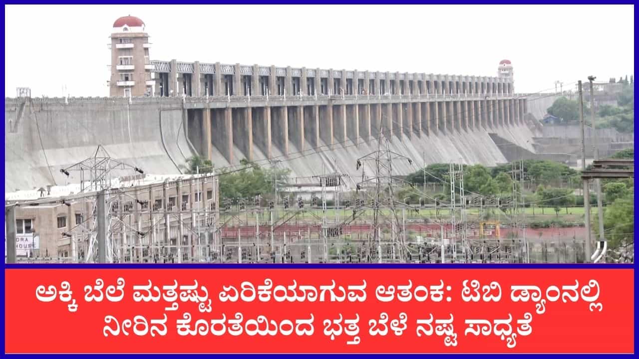 ತುಂಗಭದ್ರಾ ಜಲಾಶಯದಲ್ಲಿ ನೀರಿನ ಸಂಗ್ರಹ ಕುಸಿತ, ಒಳಹರಿವು ಸ್ಥಗಿತ: ಭತ್ತ ಬೆಳೆ ಕೈ ತಪ್ಪುವ ಆತಂಕದಲ್ಲಿ 4 ಜಿಲ್ಲೆಗಳ ರೈತರು ತುಂಗಭದ್ರಾ ಜಲಾಶಯದಲ್ಲಿ ನೀರಿನ ಸಂಗ್ರಹ ಕುಸಿತ, ಒಳಹರಿವು ಸ್ಥಗಿತ: ಭತ್ತ ಬೆಳೆ ಕೈ ತಪ್ಪುವ ಆತಂಕದಲ್ಲಿ 4 ಜಿಲ್ಲೆಗಳ ರೈತರು