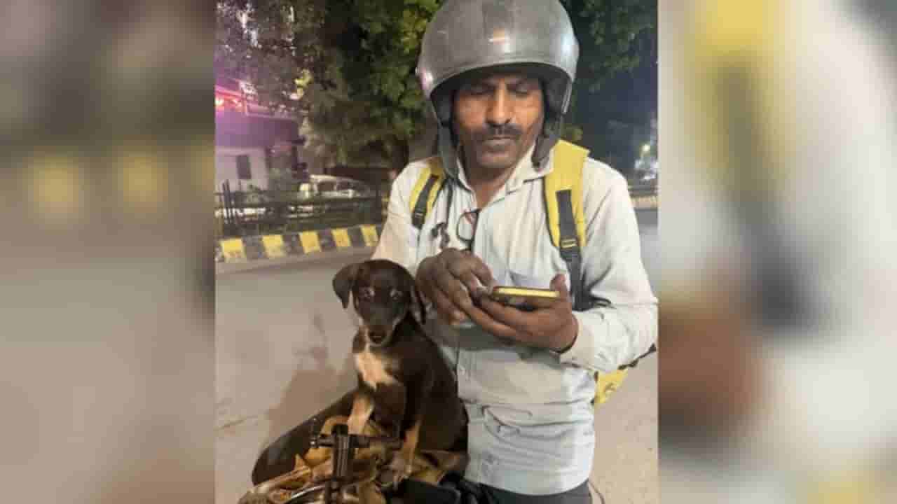 Viral: ಆರ್ಡರ್ ತಲುಪಿಸಲು ಪುಟ್ಟ ನಾಯಿ ಮರಿ ಜತೆಗೆ ಮನೆ ಬಾಗಿಲಿಗೆ ಬಂದ ಬ್ಲಿಂಕಿಟ್ ಡೆಲಿವರಿ ಬಾಯ್